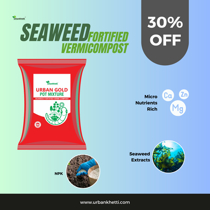 Urban Gold: Seaweed Fortified Vermi Compost | Organic Manure