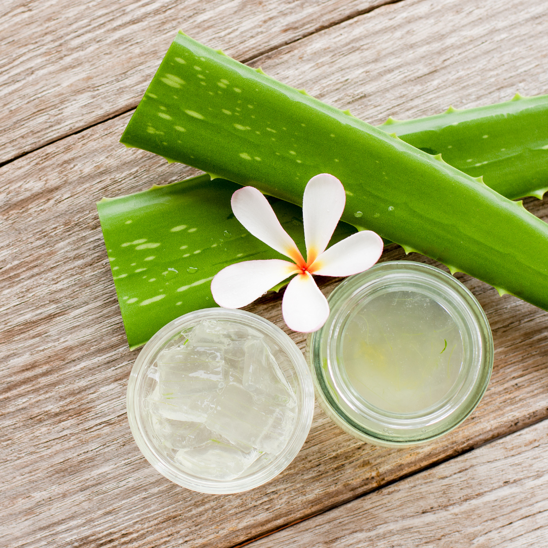 Aloe Vera